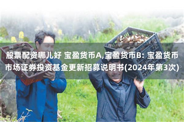 股票配资哪儿好 宝盈货币A,宝盈货币B: 宝盈货币市场证券投资基金更新招募说明书(2024年第3次)
