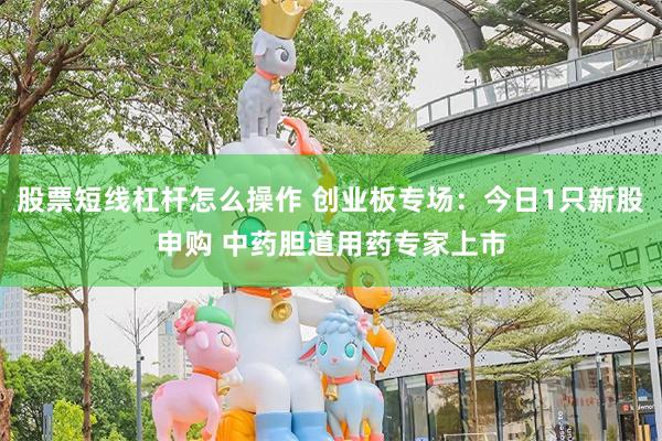 股票短线杠杆怎么操作 创业板专场：今日1只新股申购 中药胆道用药专家上市