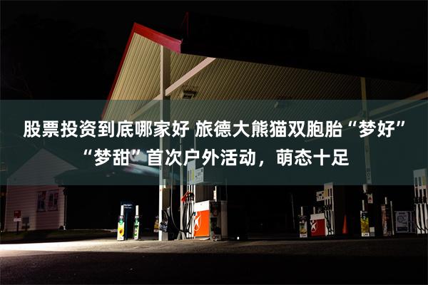 股票投资到底哪家好 旅德大熊猫双胞胎“梦好”“梦甜”首次户外活动，萌态十足