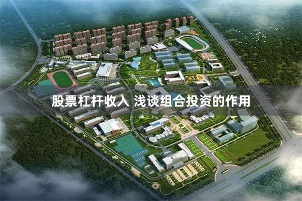 股票杠杆收入 浅谈组合投资的作用