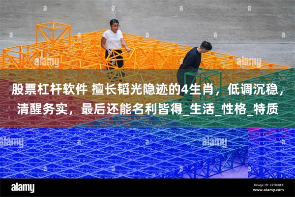 股票杠杆软件 擅长韬光隐迹的4生肖，低调沉稳，清醒务实，最后还能名利皆得_生活_性格_特质