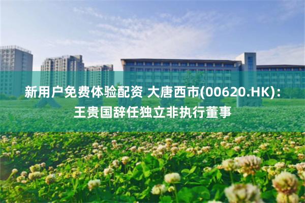 新用户免费体验配资 大唐西市(00620.HK)：王贵国辞任独立非执行董事