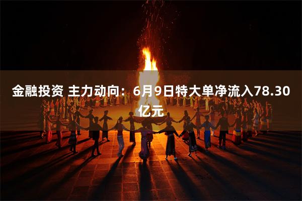 金融投资 主力动向：6月9日特大单净流入78.30亿元