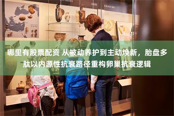哪里有股票配资 从被动养护到主动焕新，胎盘多肽以内源性抗衰路径重构卵巢抗衰逻辑