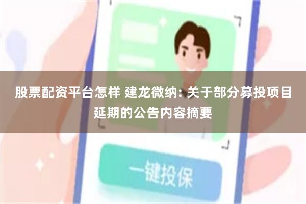 股票配资平台怎样 建龙微纳: 关于部分募投项目延期的公告内容摘要