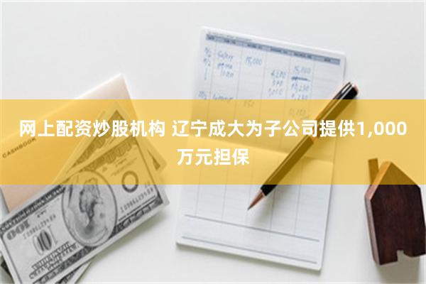 网上配资炒股机构 辽宁成大为子公司提供1,000万元担保