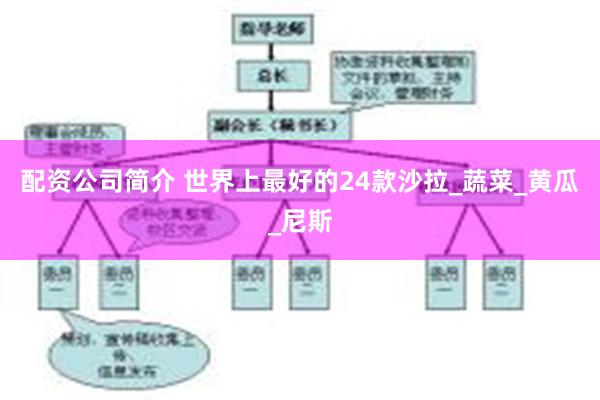 配资公司简介 世界上最好的24款沙拉_蔬菜_黄瓜_尼斯
