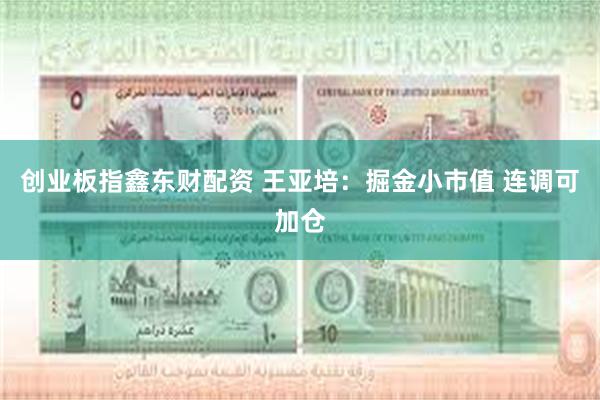 创业板指鑫东财配资 王亚培:掘金小市值 连调可加仓